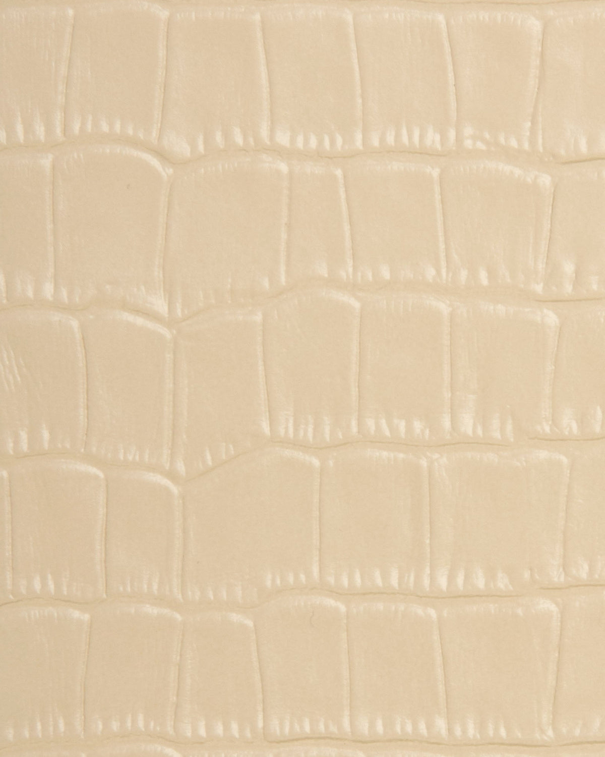 Funda Crema