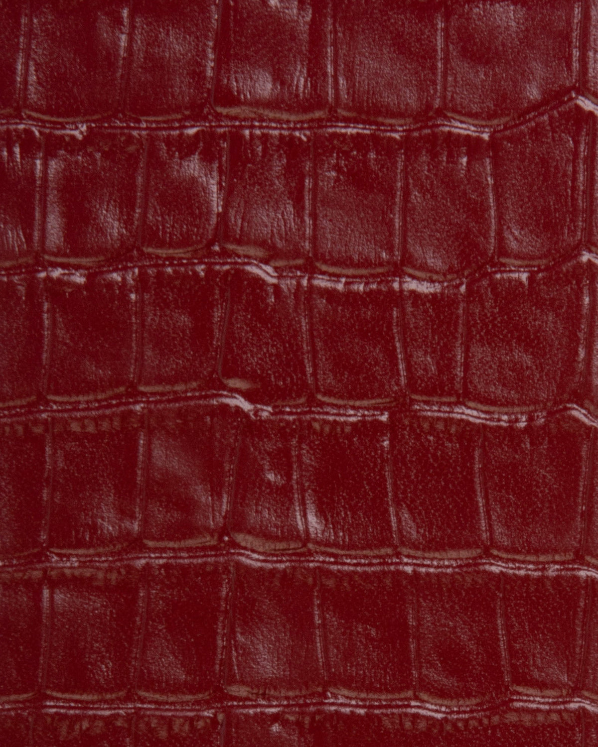 Funda Barolo