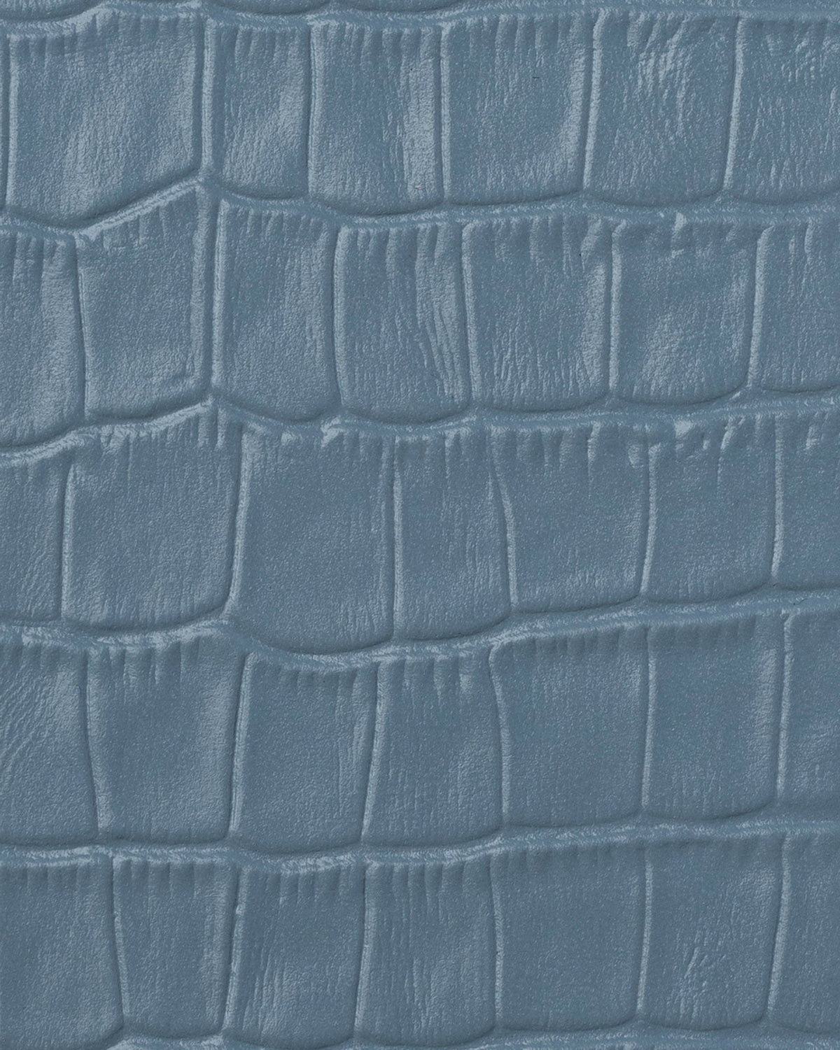 Tarjetero Azul Cielo