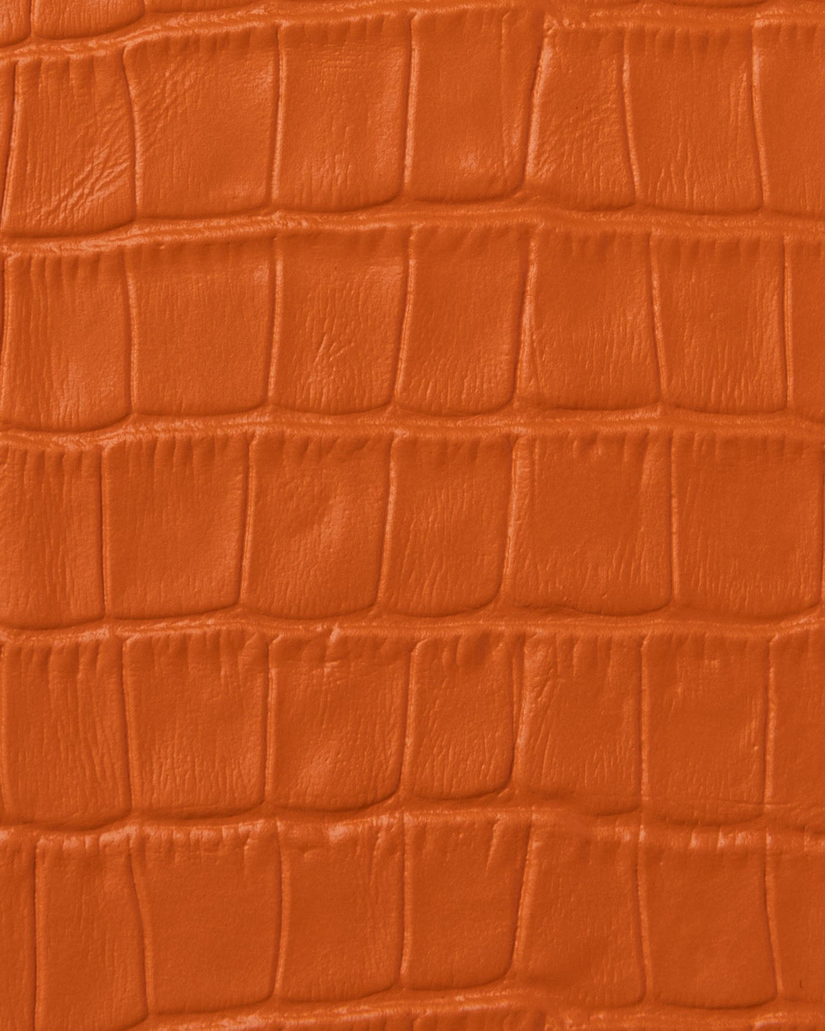 Tarjetero Naranja Carrot