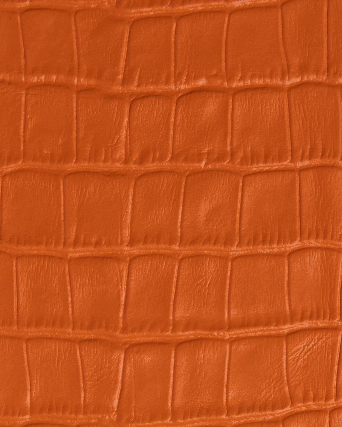 Funda Naranja Carrot